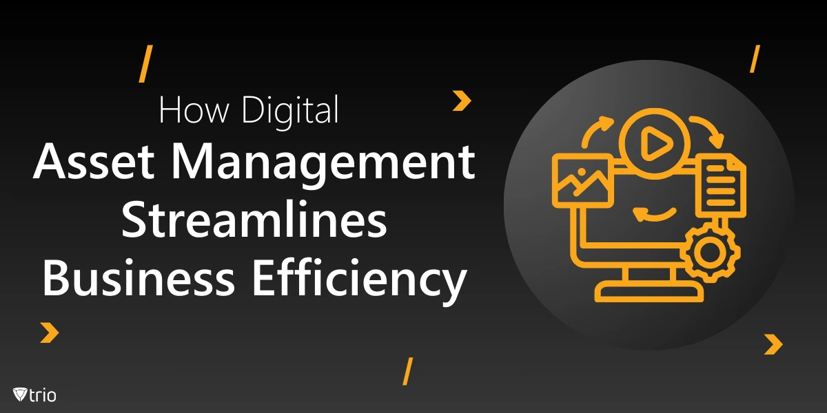 How Digital Asset Management Streamlines Business Efficiency