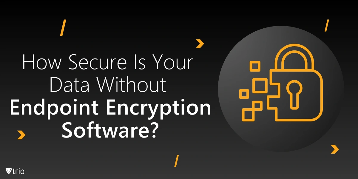 How Secure Is Your Data Without Endpoint Encryption Software?