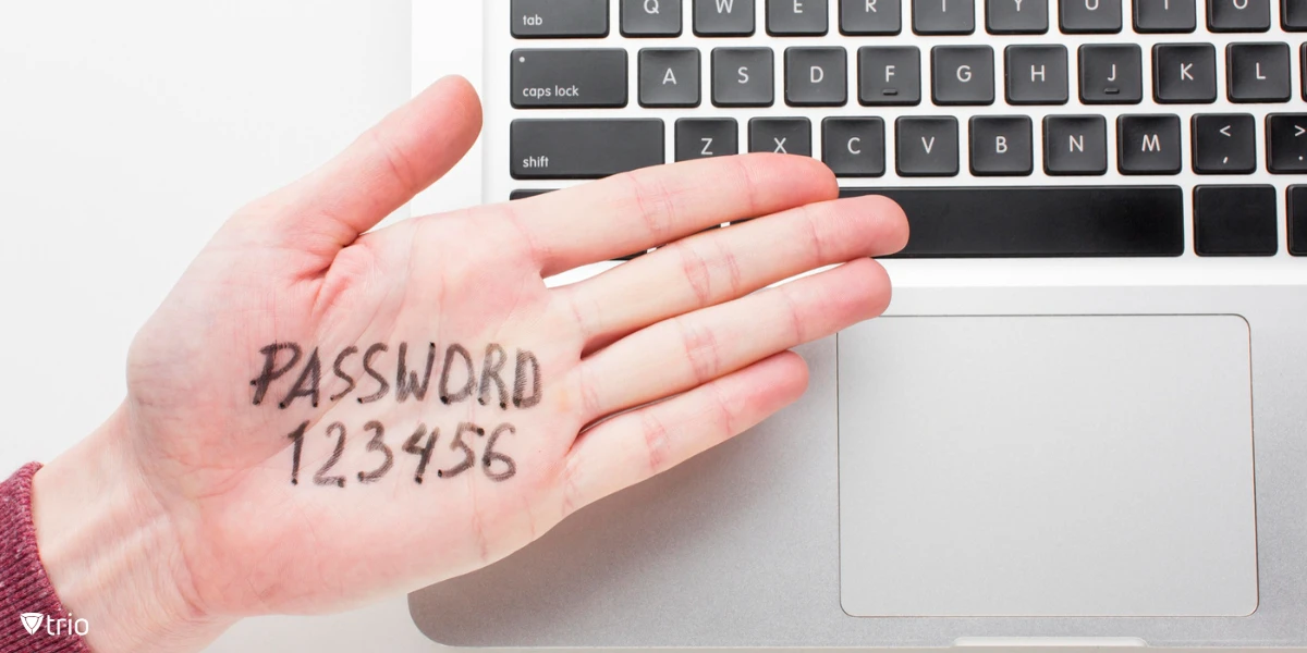 A hand with the word "PASSWORD" and the numbers "123456" written on the palm, placed over the keyboard of a laptop.